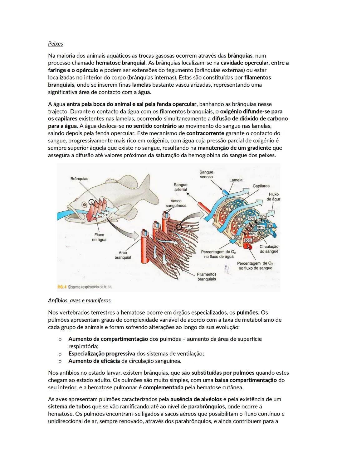 # A biosfera
Biosfera - conjunto de todos os locais da Terra onde é possível encontrar vida, os organismos que ai habitam e as inter-relaçõ