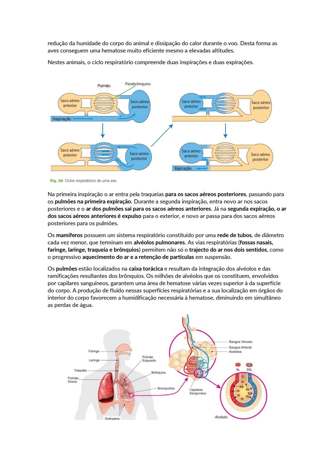 # A biosfera
Biosfera - conjunto de todos os locais da Terra onde é possível encontrar vida, os organismos que ai habitam e as inter-relaçõ
