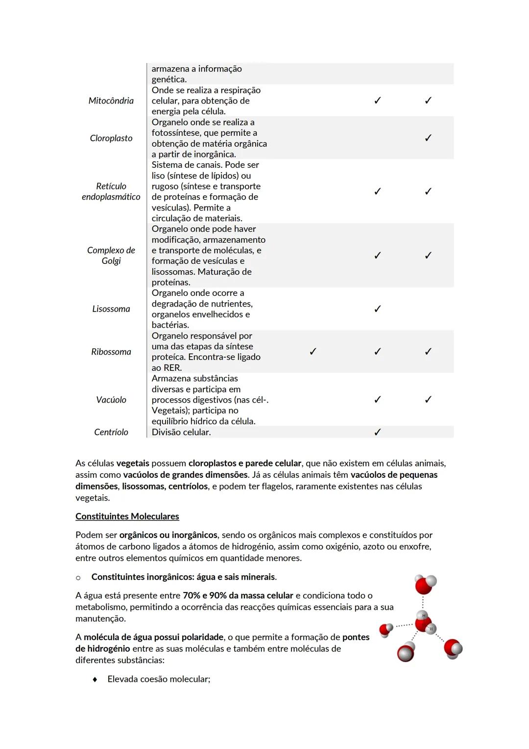 # A biosfera
Biosfera - conjunto de todos os locais da Terra onde é possível encontrar vida, os organismos que ai habitam e as inter-relaçõ