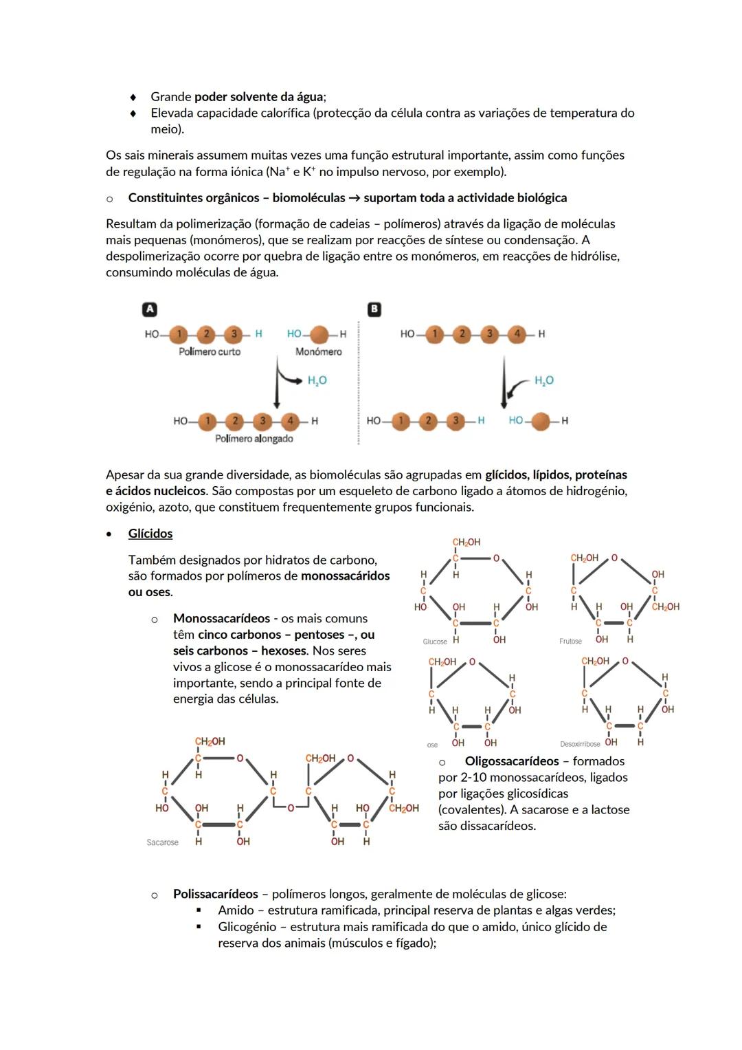 # A biosfera
Biosfera - conjunto de todos os locais da Terra onde é possível encontrar vida, os organismos que ai habitam e as inter-relaçõ