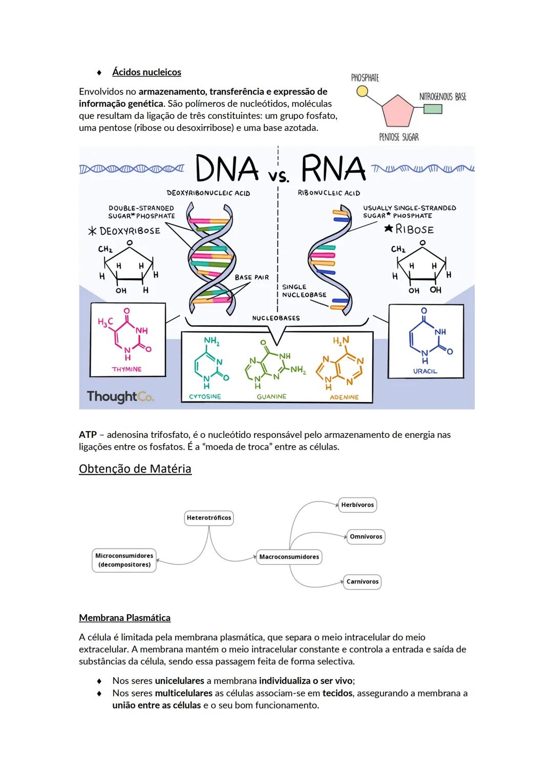# A biosfera
Biosfera - conjunto de todos os locais da Terra onde é possível encontrar vida, os organismos que ai habitam e as inter-relaçõ