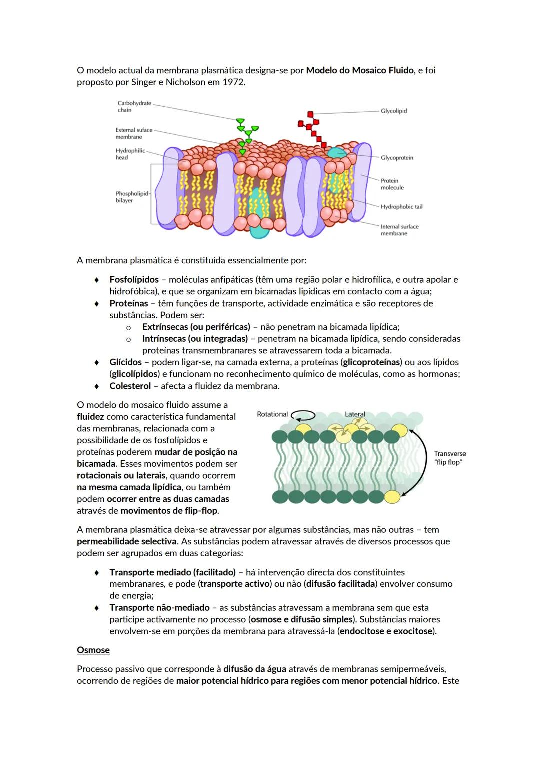 # A biosfera
Biosfera - conjunto de todos os locais da Terra onde é possível encontrar vida, os organismos que ai habitam e as inter-relaçõ