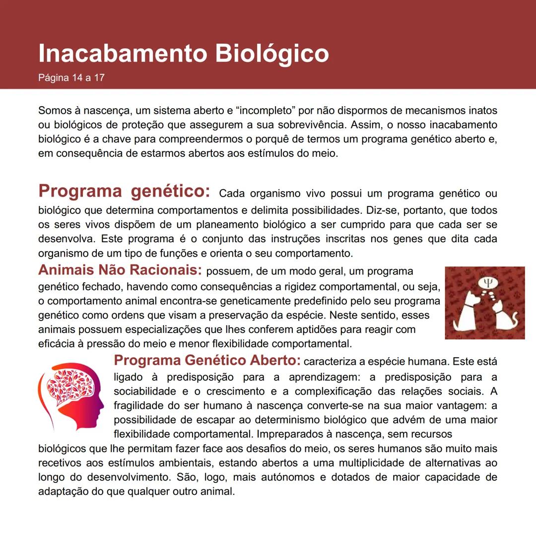 ## Inacabamento Biológico
Página 14 a 17
Somos à nascença, um sistema aberto e "incompleto" por não dispormos de mecanismos inatos
ou bioló