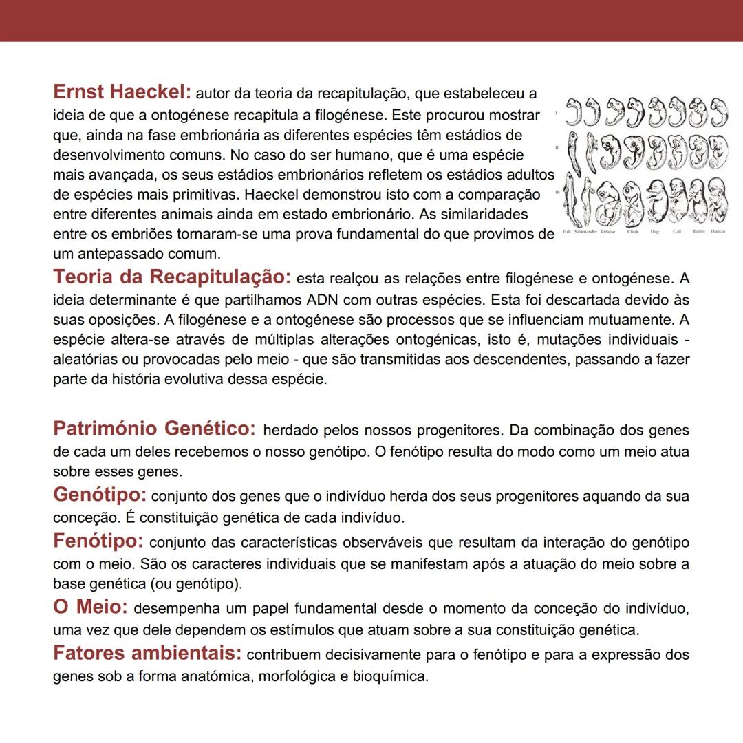 --- OCR Start ---
Influências Genéticas e Epigenéticas
no
Comportamento
Página 7 a 14
Genética do Comportamento: estuda o efeito da heredita