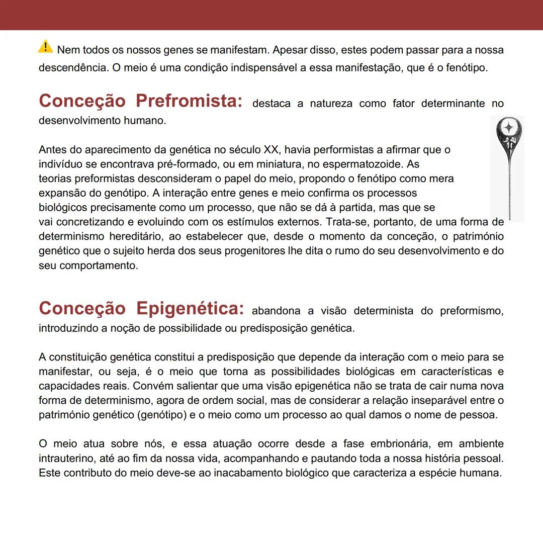 --- OCR Start ---
Influências Genéticas e Epigenéticas
no
Comportamento
Página 7 a 14
Genética do Comportamento: estuda o efeito da heredita