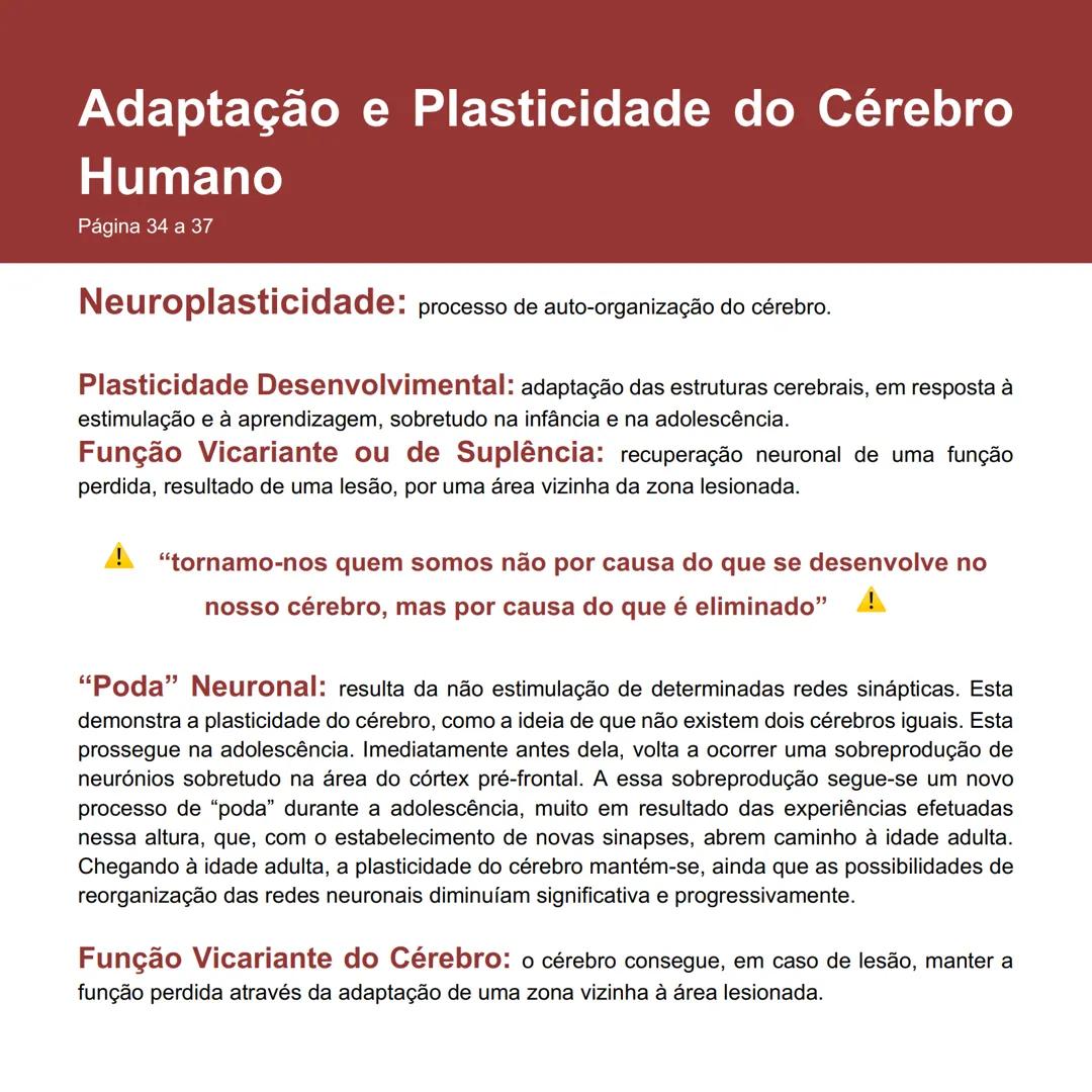 Adaptação e Plasticidade do Cérebro
Humano
Página 34 a 37
Neuroplasticidade: processo de auto-organização do cérebro.
Plasticidade Desenvolv