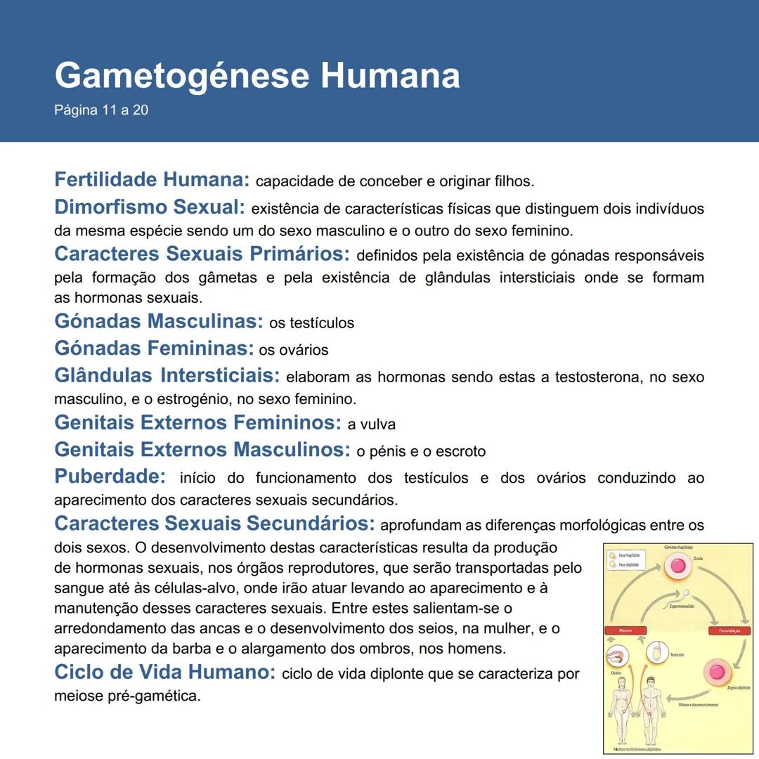 # Gametogénese Humana
Página 11 a 20
Fertilidade Humana: capacidade de conceber e originar filhos.
Dimorfismo Sexual: existência de caracte