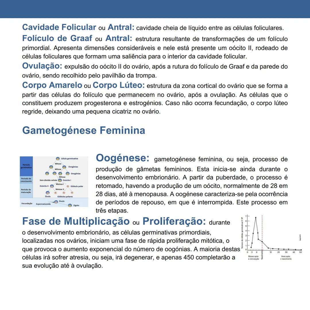 # Gametogénese Humana
Página 11 a 20
Fertilidade Humana: capacidade de conceber e originar filhos.
Dimorfismo Sexual: existência de caracte