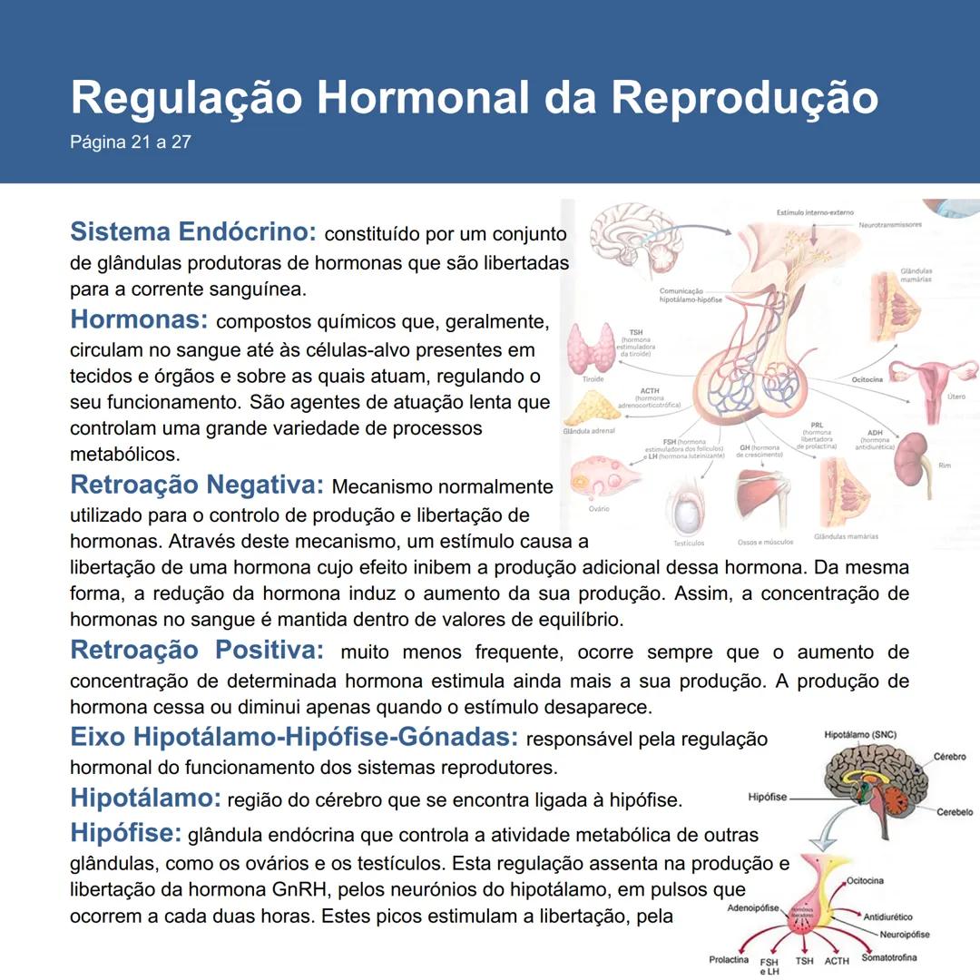 # Regulação Hormonal da Reprodução
## Página 21 a 27
### Sistema Endócrino: constituído por um conjunto
de glândulas produtoras de hormona