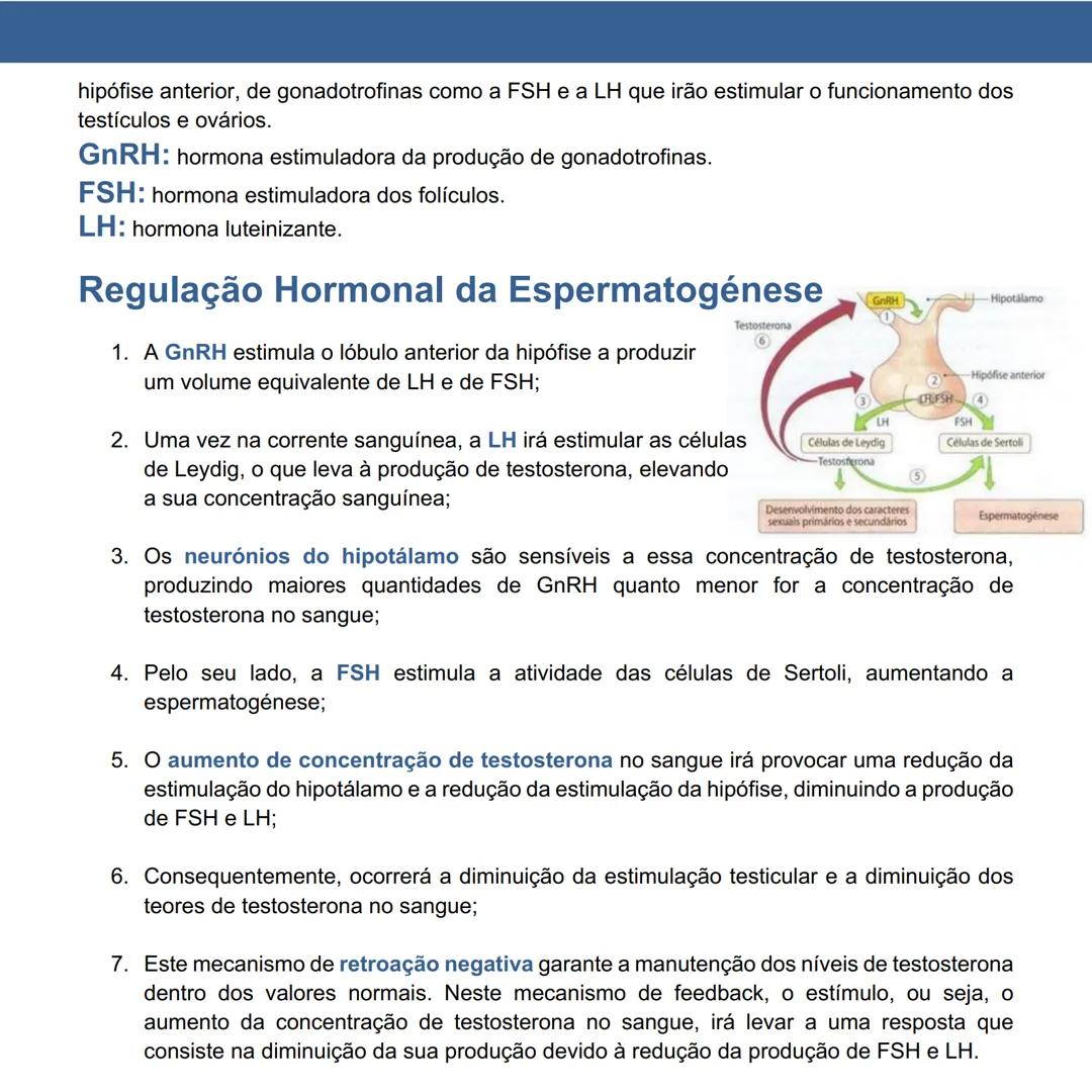 # Regulação Hormonal da Reprodução
## Página 21 a 27
### Sistema Endócrino: constituído por um conjunto
de glândulas produtoras de hormona