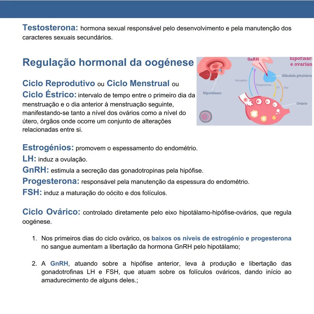 # Regulação Hormonal da Reprodução
## Página 21 a 27
### Sistema Endócrino: constituído por um conjunto
de glândulas produtoras de hormona