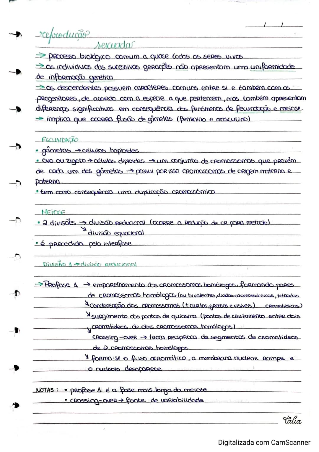 Resumos de Biologia 11° ano – página 13