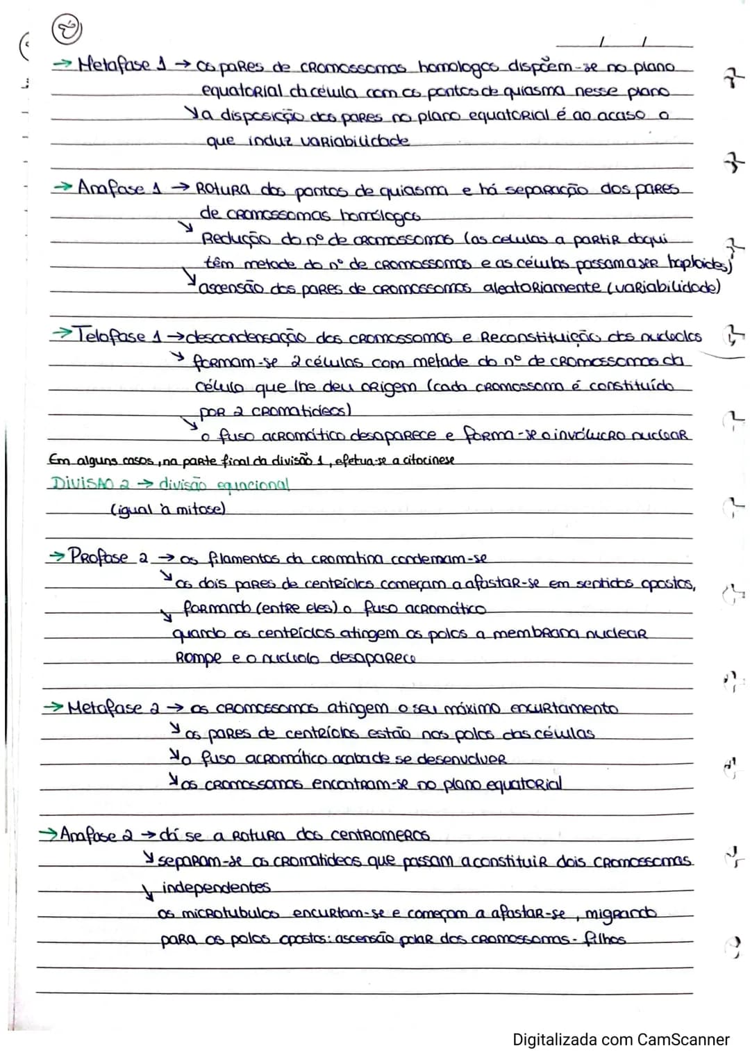 Resumos de Biologia 11° ano – página 14