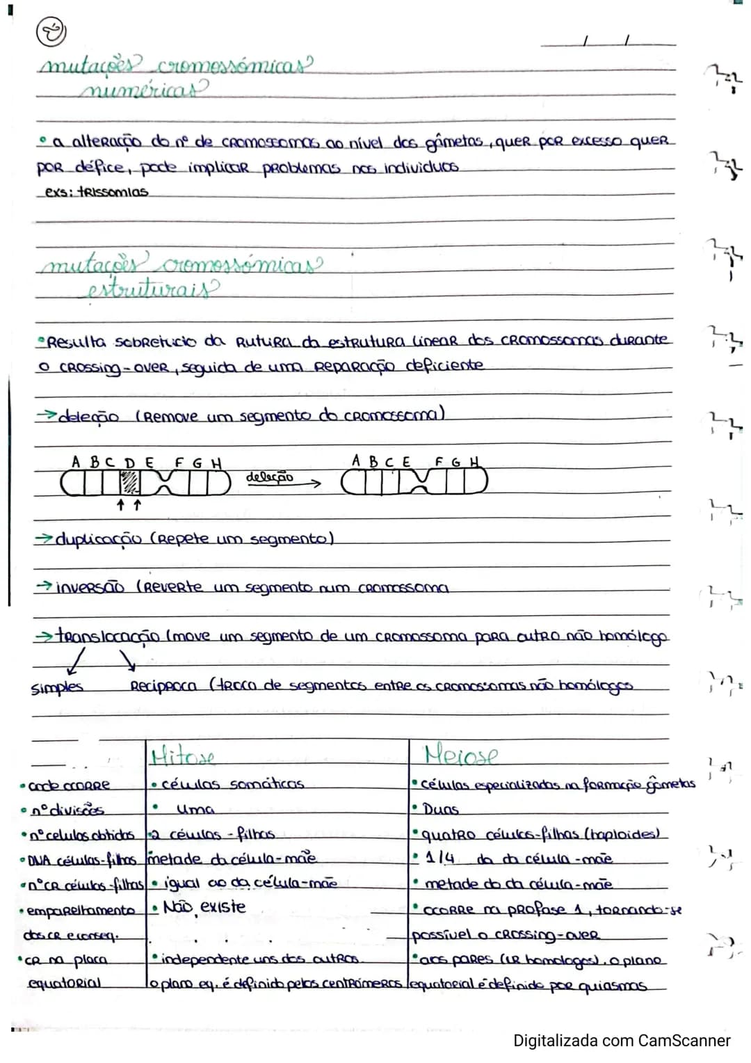 Resumos de Biologia 11° ano – página 16
