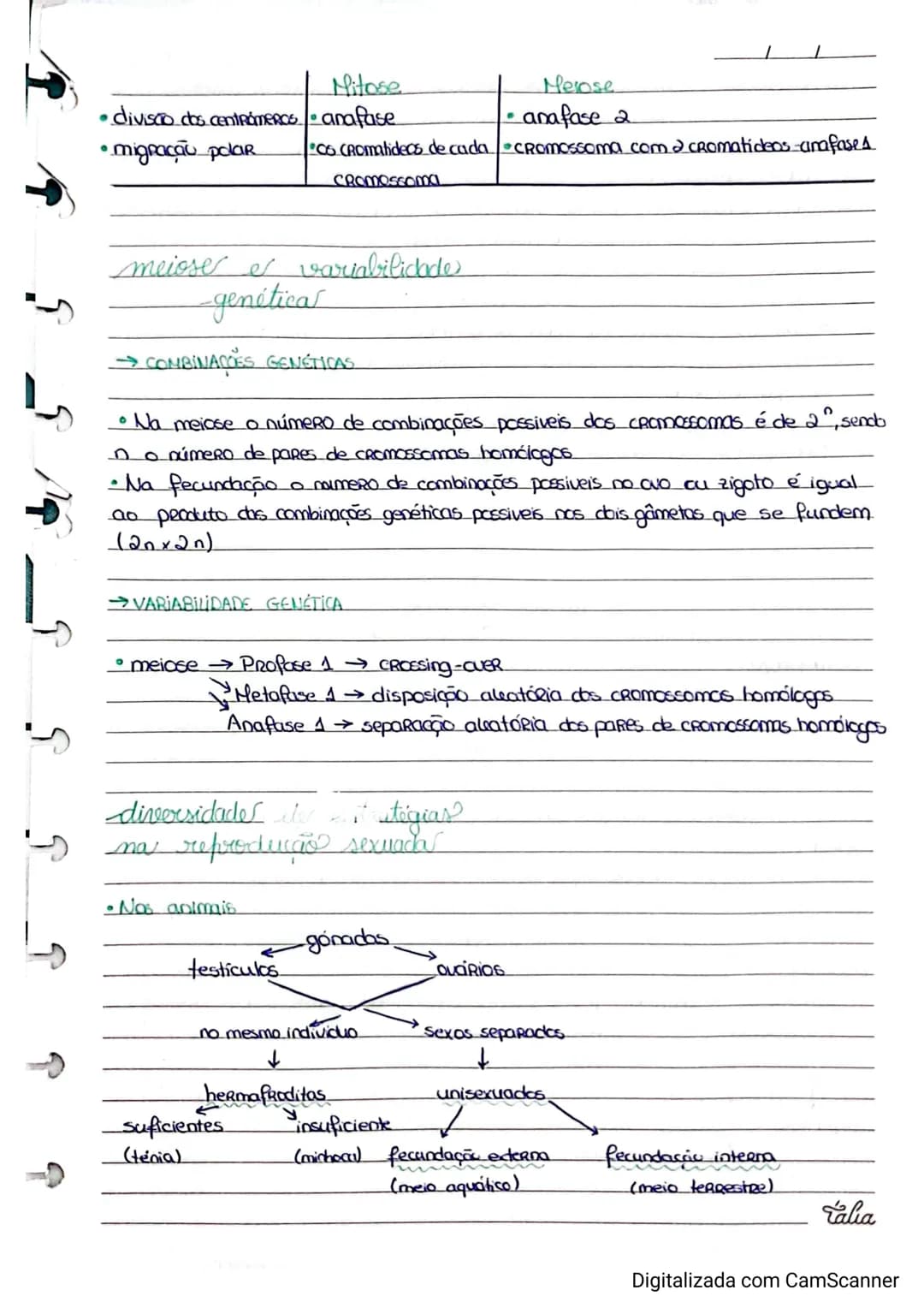 Resumos de Biologia 11° ano – página 17