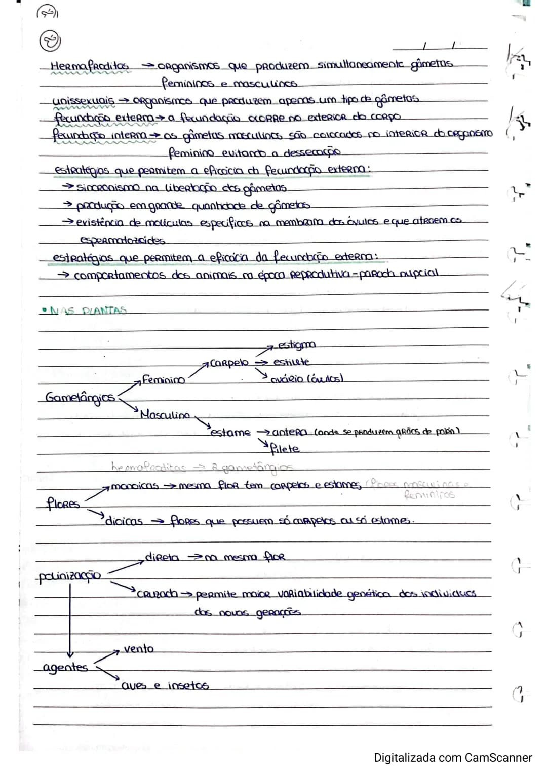 Resumos de Biologia 11° ano – página 18
