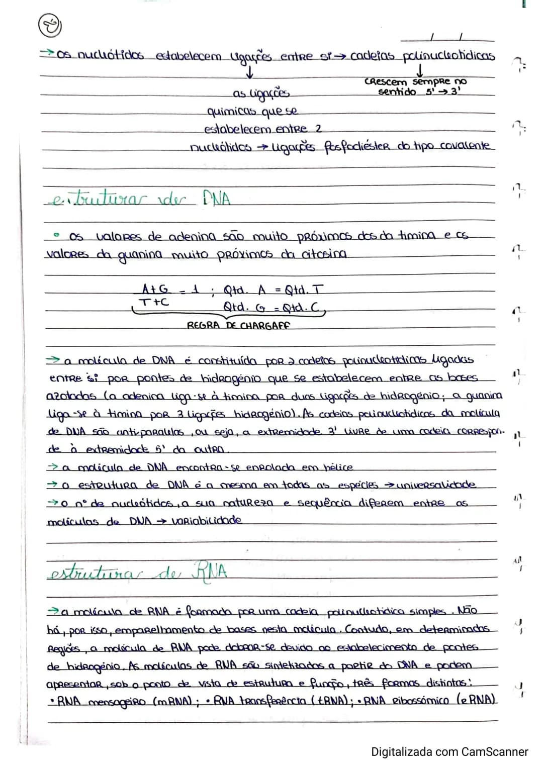Resumos de Biologia 11° ano – página 2