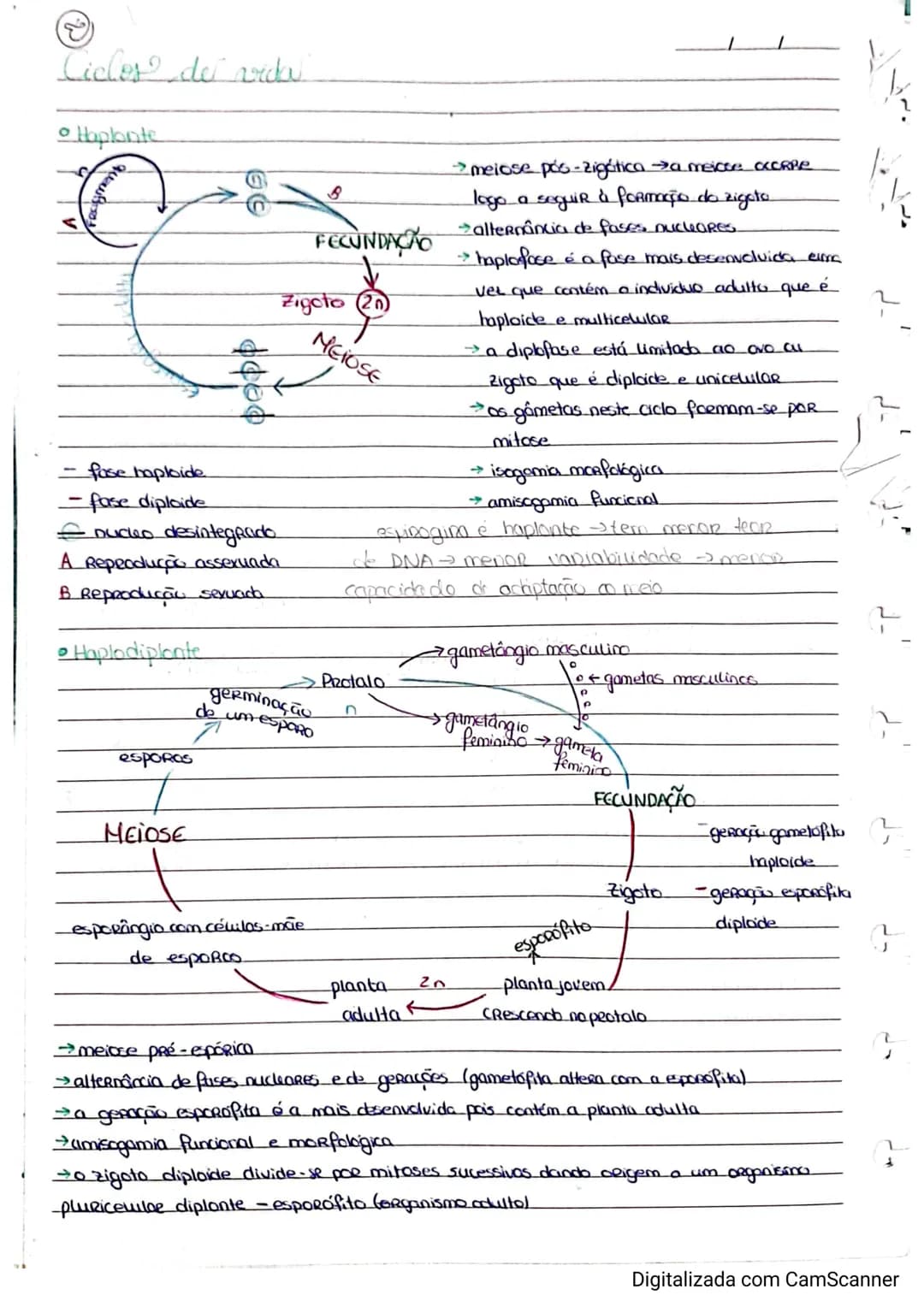 Resumos de Biologia 11° ano – página 20