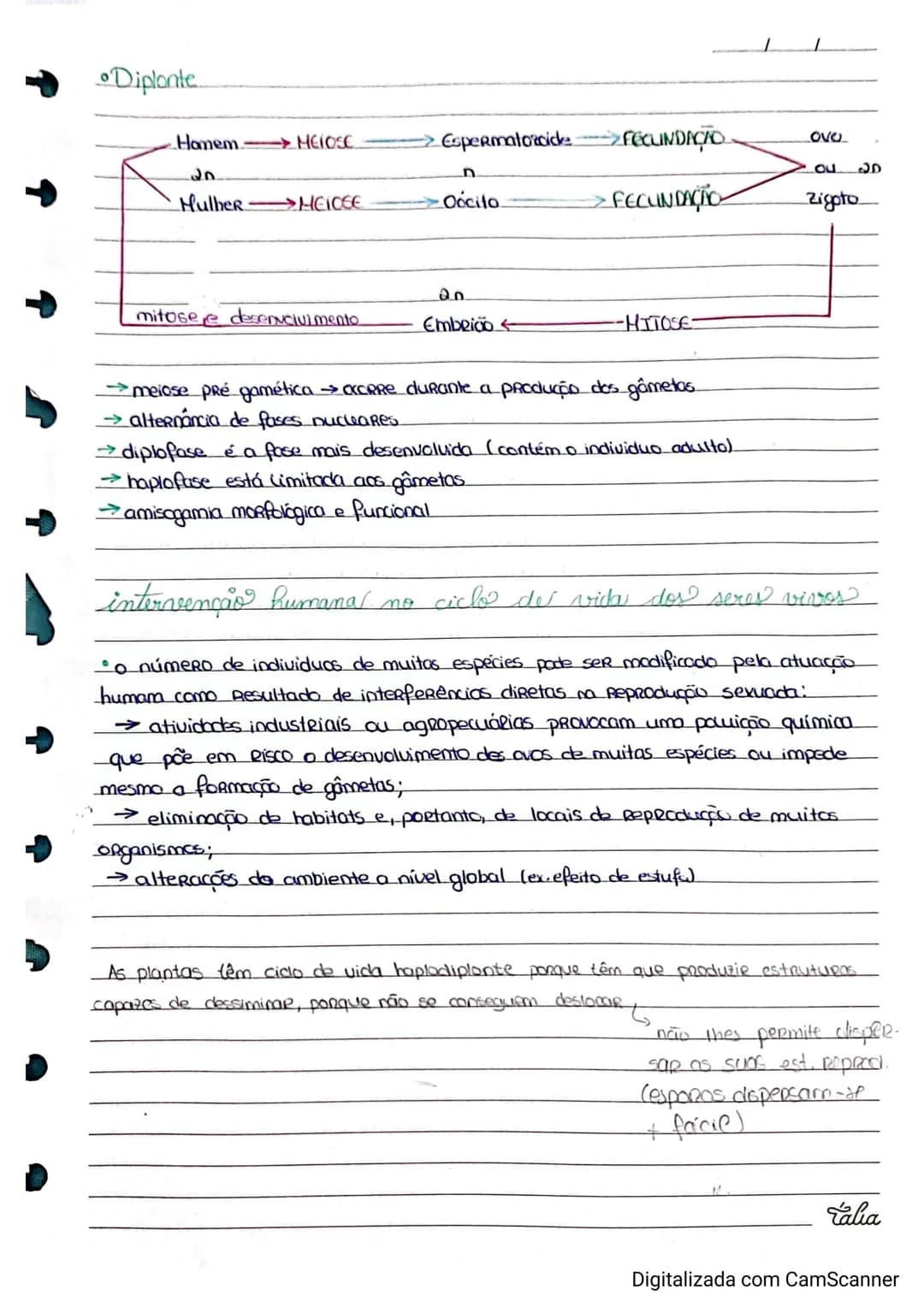 Resumos de Biologia 11° ano – página 21