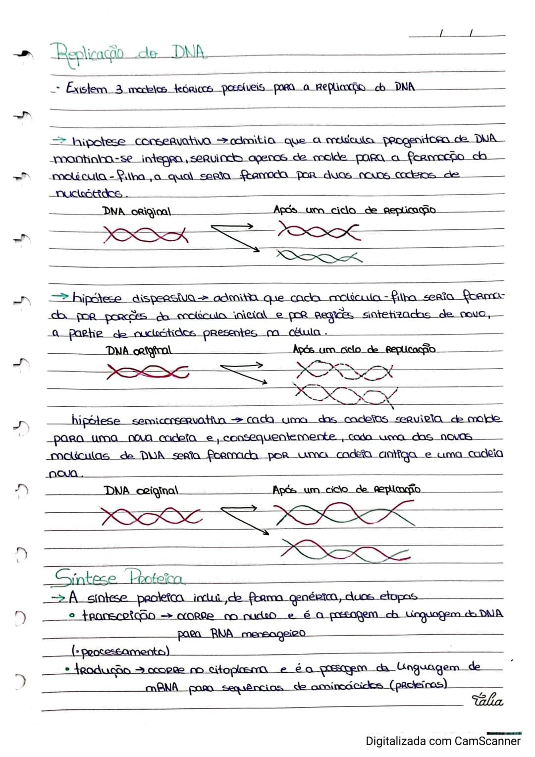 Resumos de Biologia 11° ano – página 3