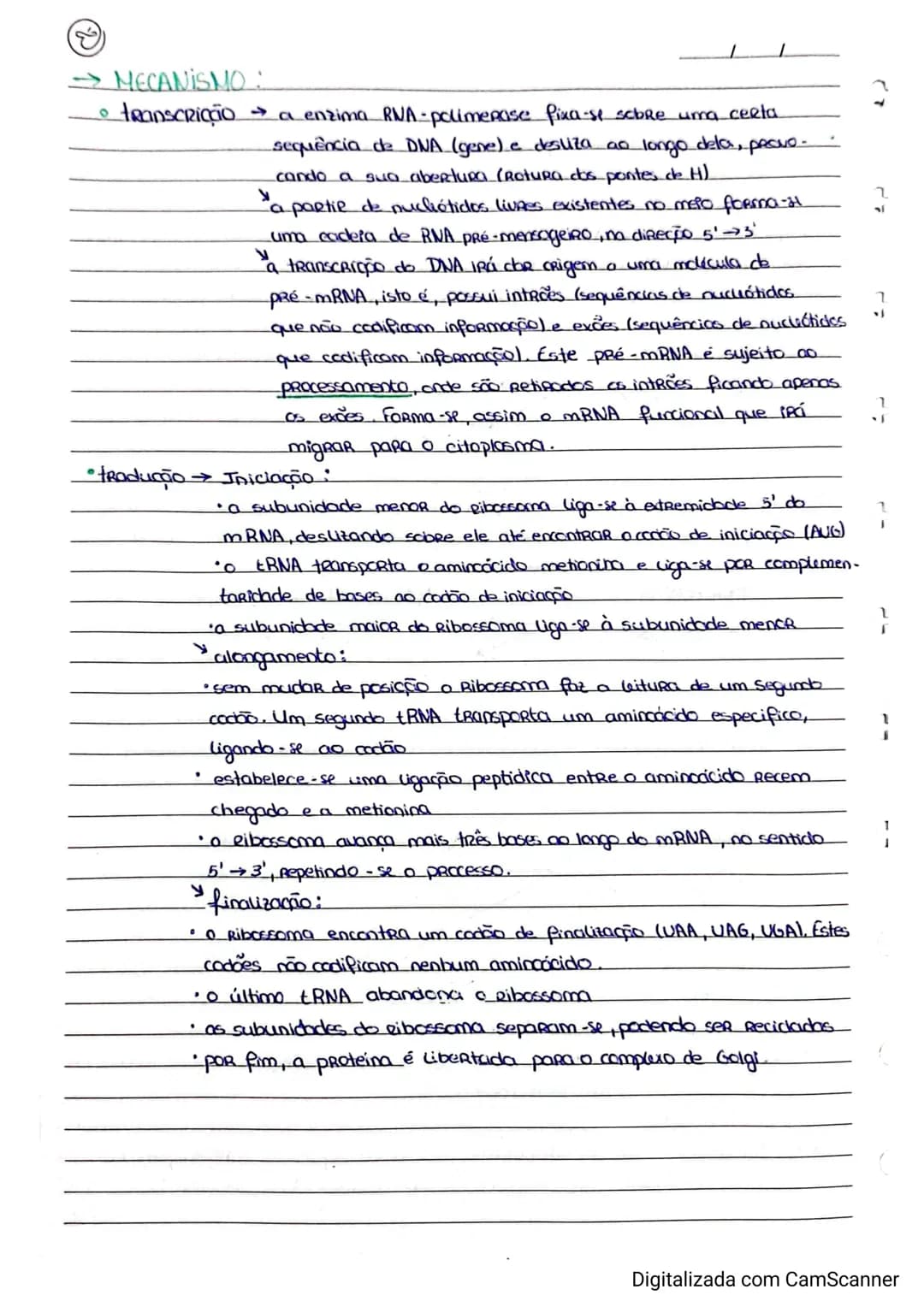Resumos de Biologia 11° ano – página 4