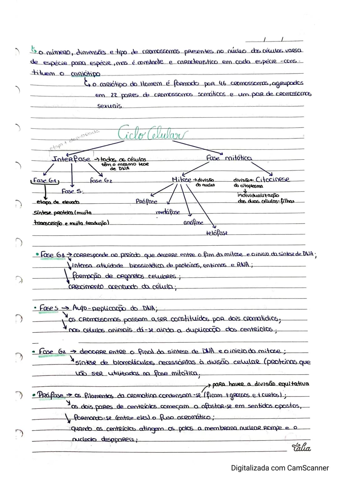 Resumos de Biologia 11° ano – página 7