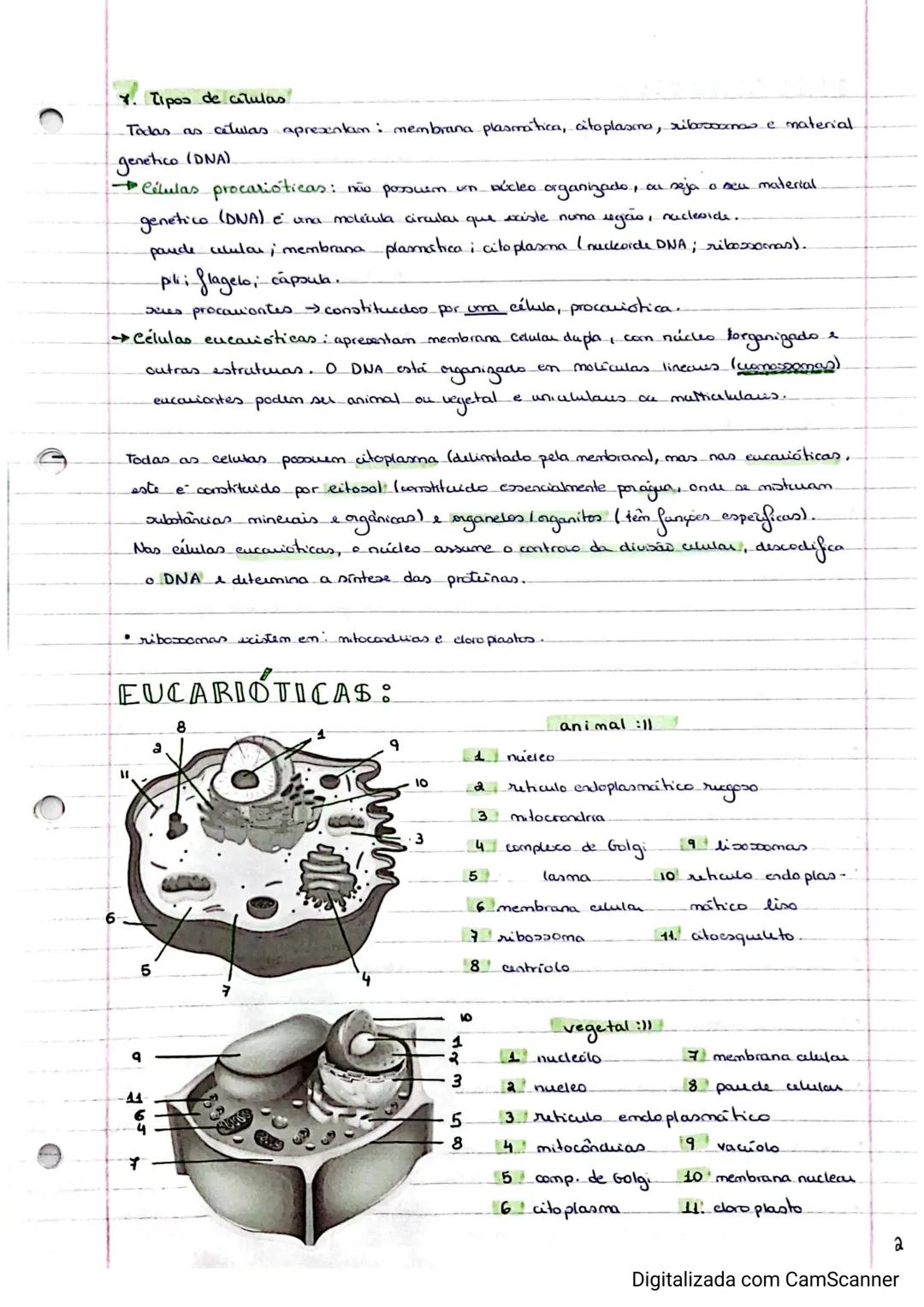 # BIOLOGIA
1. Hierarquia biologica
A organização bidógica, ocorre de forma hiéruquica, geralmente pelos 12 niveis, inicia se
no nivel mis b