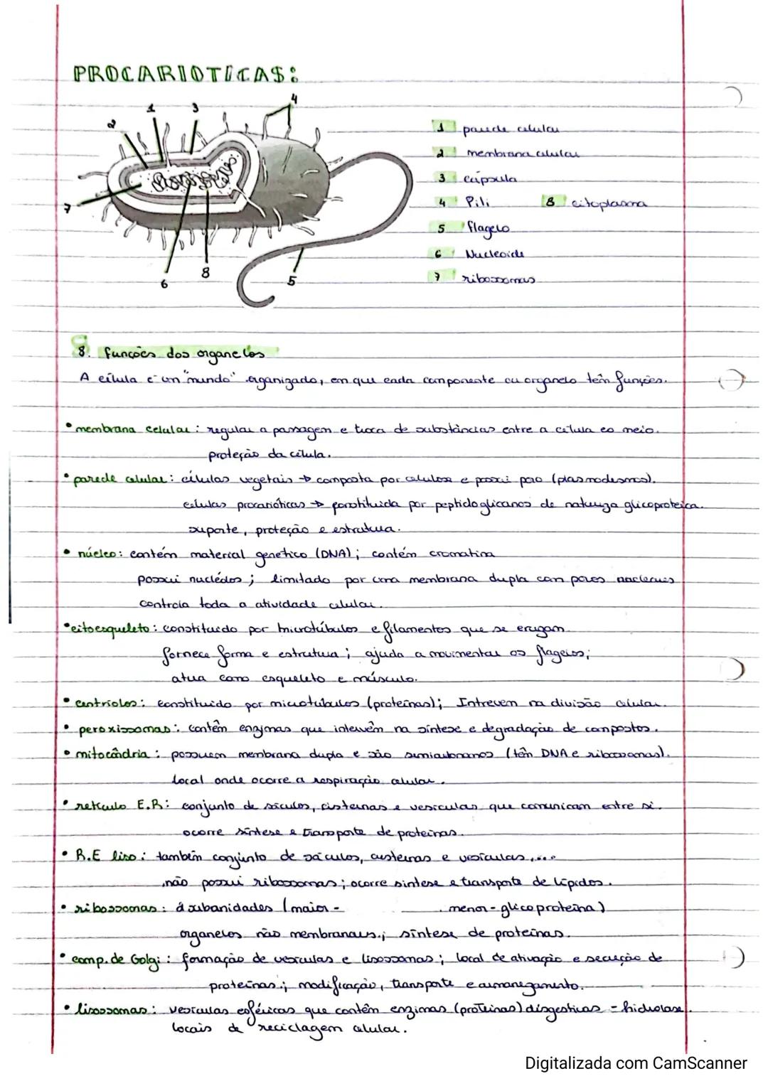 # BIOLOGIA
1. Hierarquia biologica
A organização bidógica, ocorre de forma hiéruquica, geralmente pelos 12 niveis, inicia se
no nivel mis b