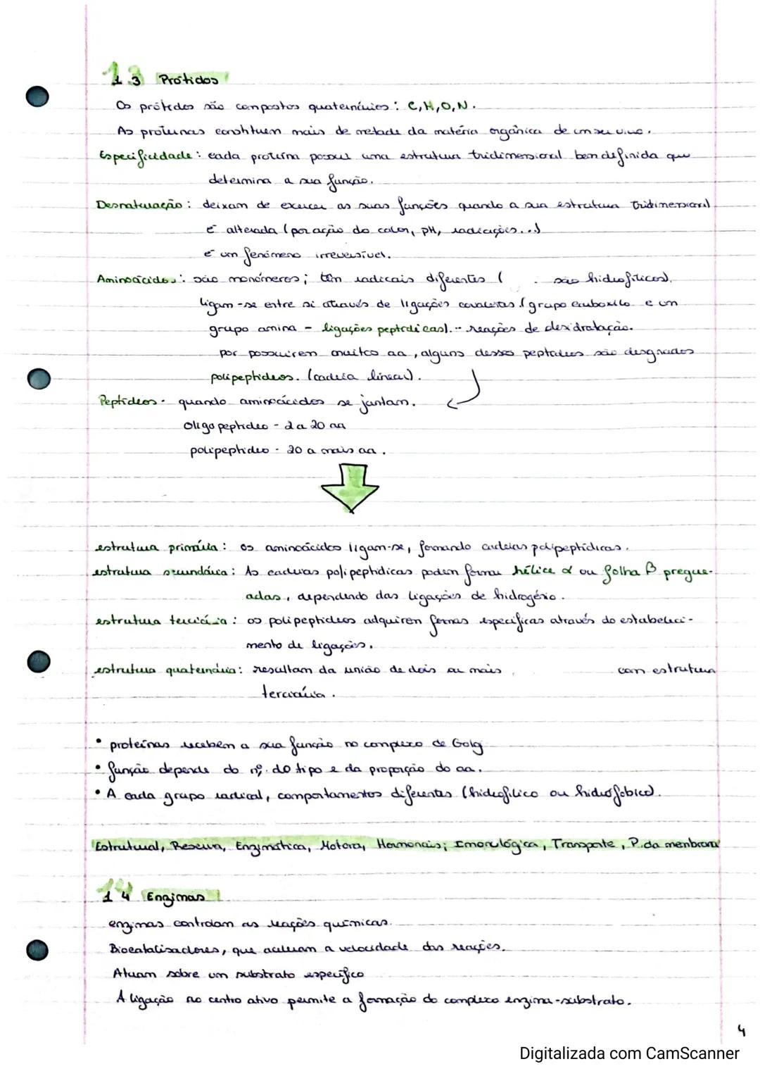 # BIOLOGIA
1. Hierarquia biologica
A organização bidógica, ocorre de forma hiéruquica, geralmente pelos 12 niveis, inicia se
no nivel mis b