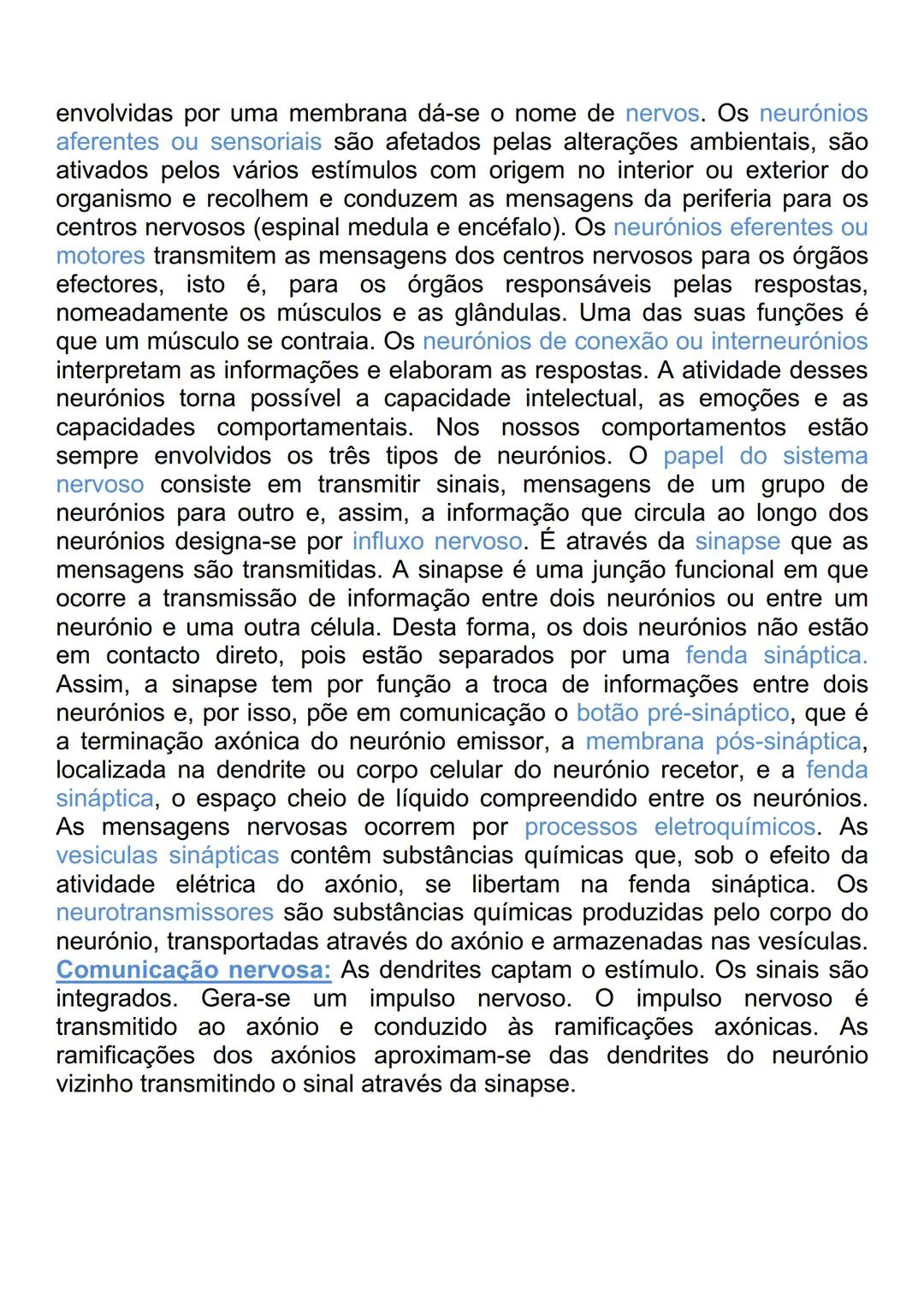 # CÉREBRO
Elementos estruturais e funcionais do sistema
nervoso:
Os mecanismos de receção ou recetores são os órgãos dos sentidos
(visão,
