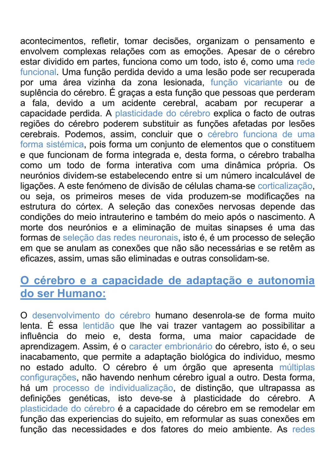 # CÉREBRO
Elementos estruturais e funcionais do sistema
nervoso:
Os mecanismos de receção ou recetores são os órgãos dos sentidos
(visão,