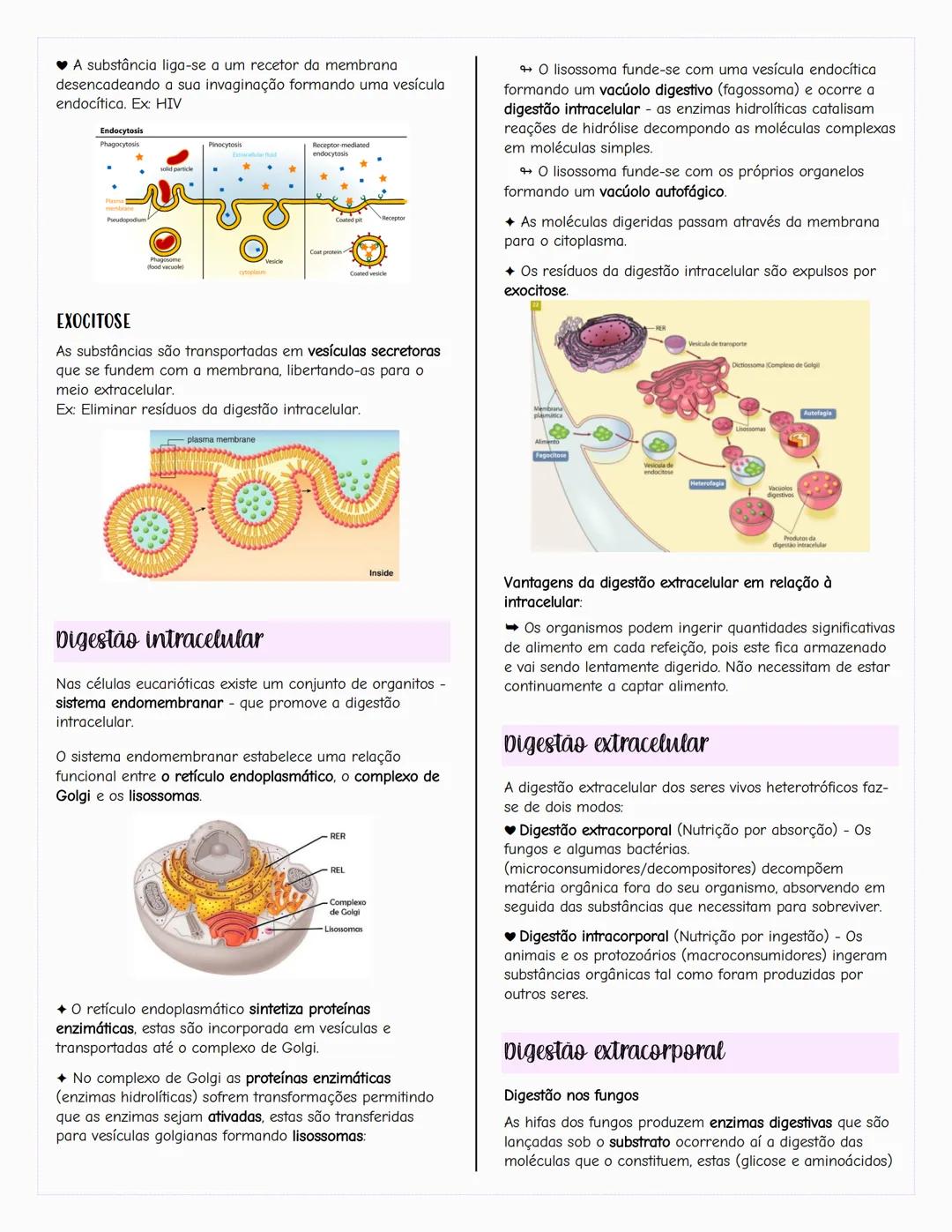 # Ecologia
Biosfera
A biosfera é um sistema que inclui todos os seres vivos, os
ambientes que habitam e as relações estabelecidas entre
ele