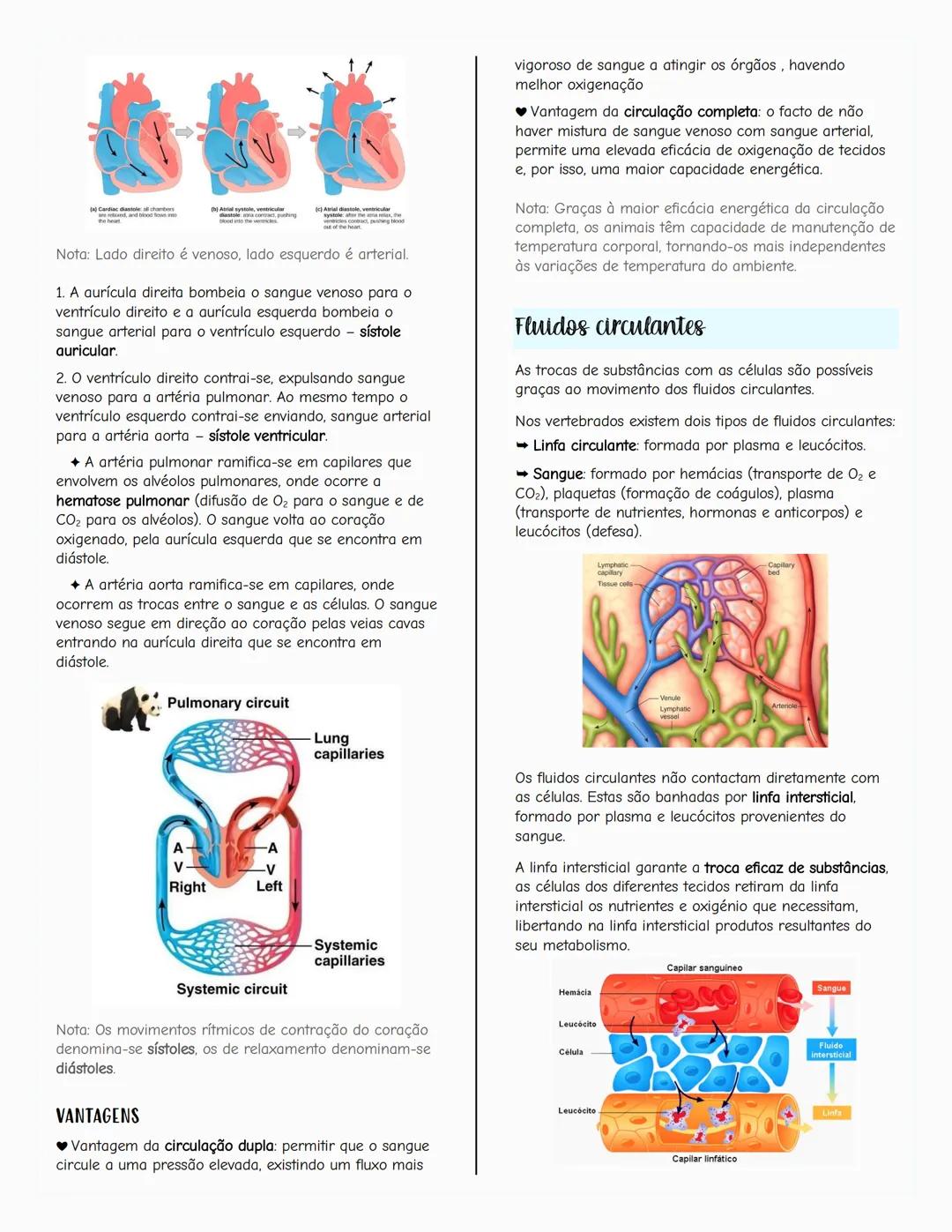 # Ecologia
Biosfera
A biosfera é um sistema que inclui todos os seres vivos, os
ambientes que habitam e as relações estabelecidas entre
ele