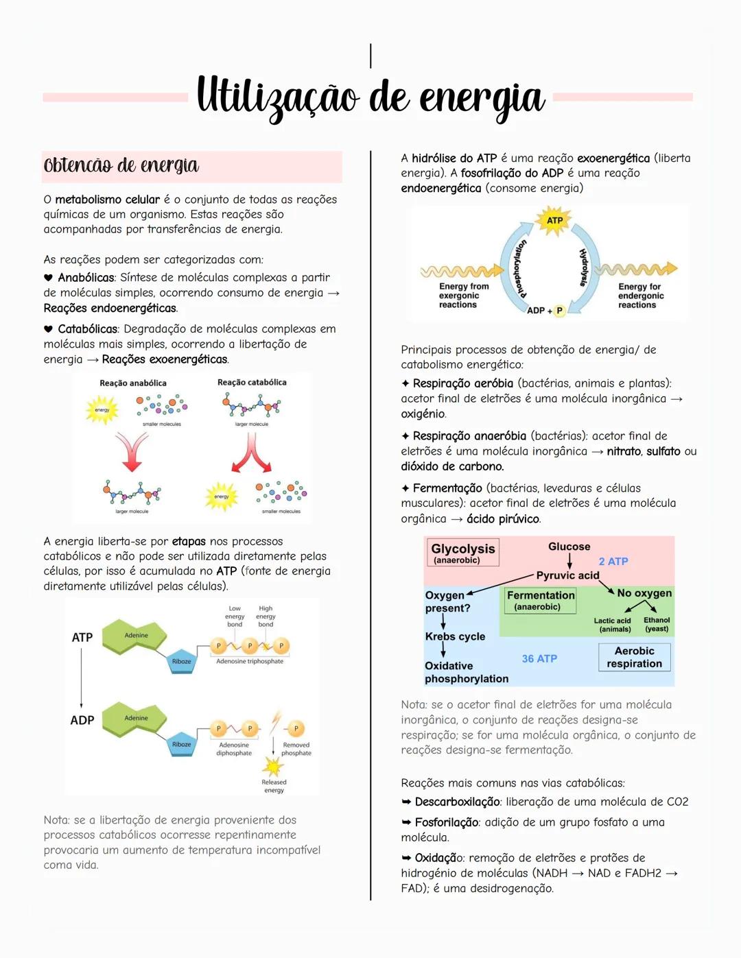 # Ecologia
Biosfera
A biosfera é um sistema que inclui todos os seres vivos, os
ambientes que habitam e as relações estabelecidas entre
ele