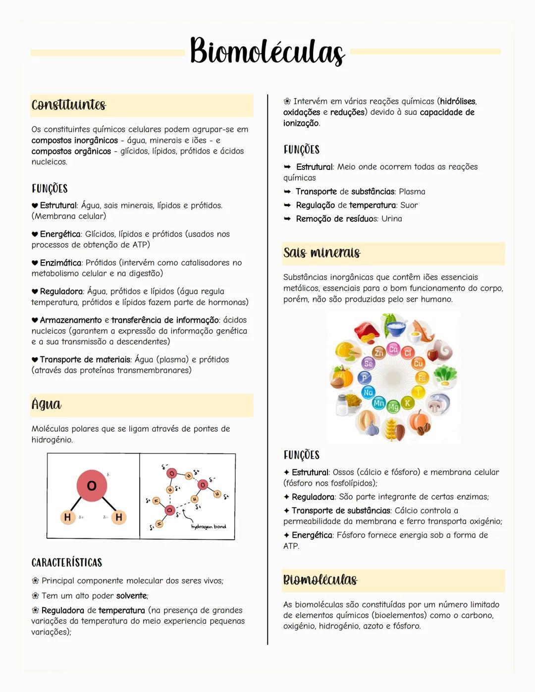 # Ecologia
# Biosfera
A biosfera é um sistema que inclui todos os seres vivos, os
ambientes que habitam e as relações estabelecidas entre
e