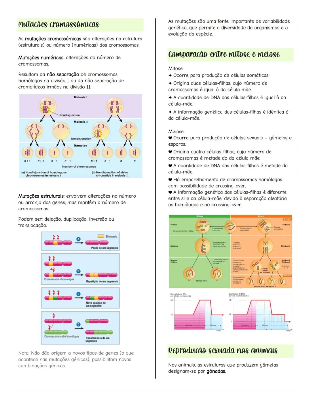 # Renovação celular
Replicacão do DNA
As células têm capacidade de replicar a informação
contida no se DNA, formando outra molécula idênti