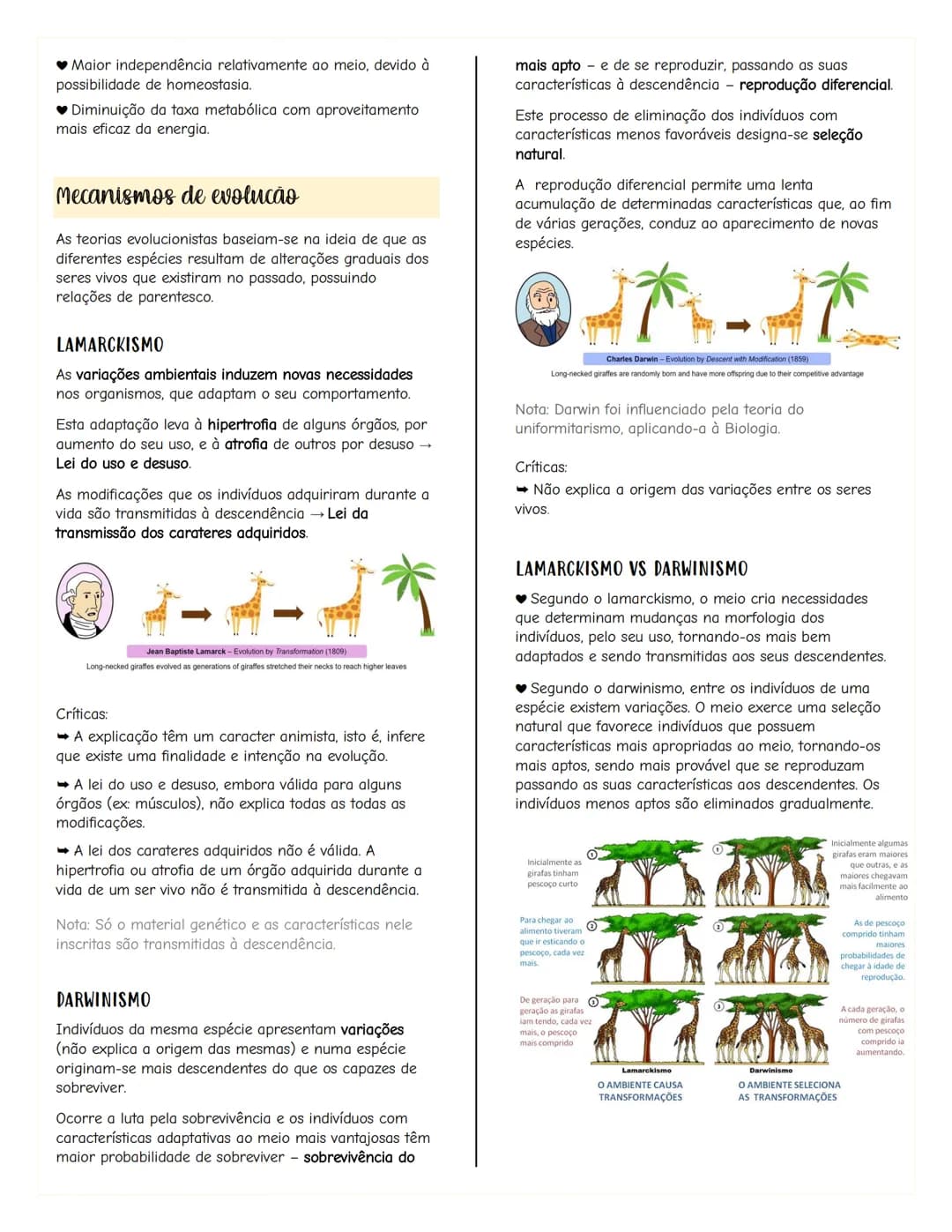 # Renovação celular
Replicacão do DNA
As células têm capacidade de replicar a informação
contida no se DNA, formando outra molécula idênti