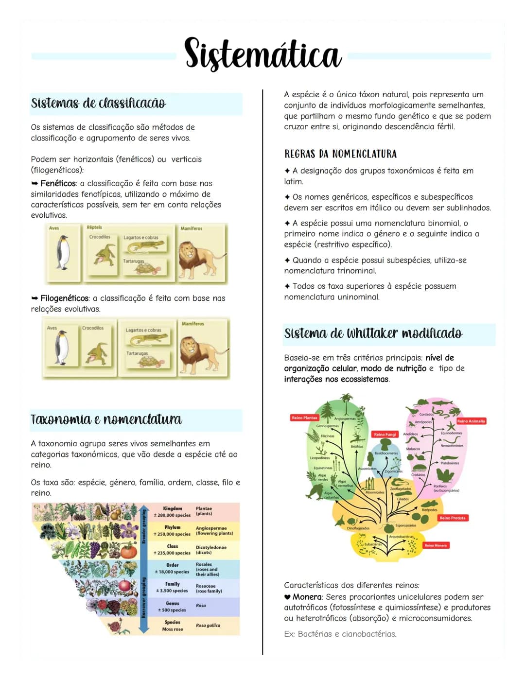 # Renovação celular
Replicacão do DNA
As células têm capacidade de replicar a informação
contida no se DNA, formando outra molécula idênti