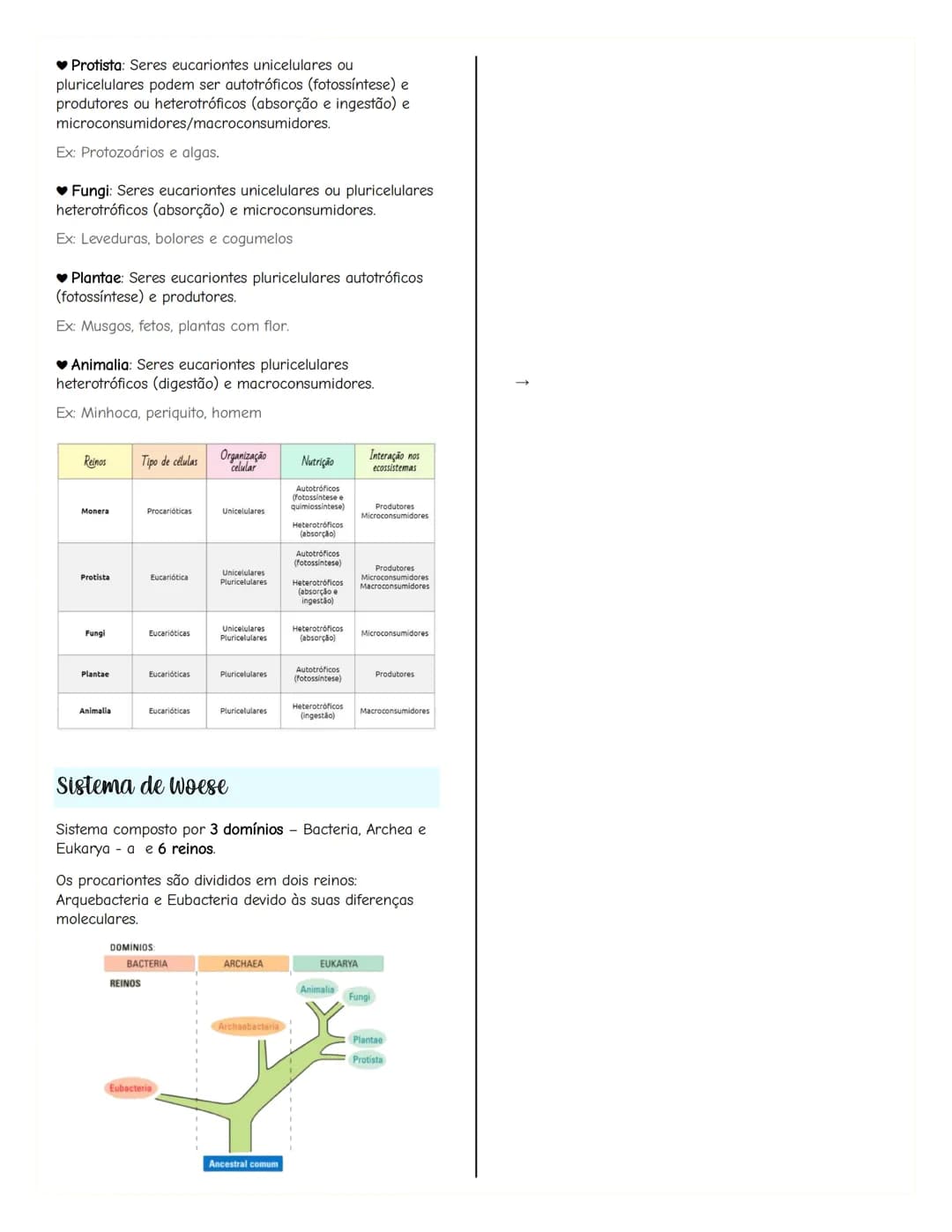 # Renovação celular
Replicacão do DNA
As células têm capacidade de replicar a informação
contida no se DNA, formando outra molécula idênti