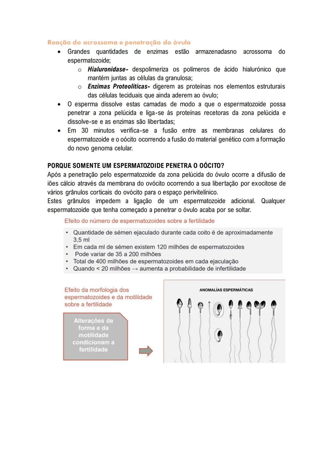 # Sistema Reprodutor
MASCULINO
O sistema reprodutor masculino tem componentes no abdómen, pelve e períneo.
As funções reprodutivas masculin
