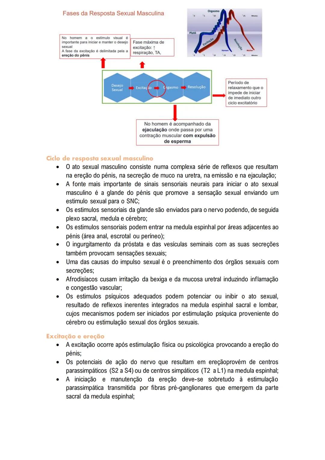# Sistema Reprodutor
MASCULINO
O sistema reprodutor masculino tem componentes no abdómen, pelve e períneo.
As funções reprodutivas masculin