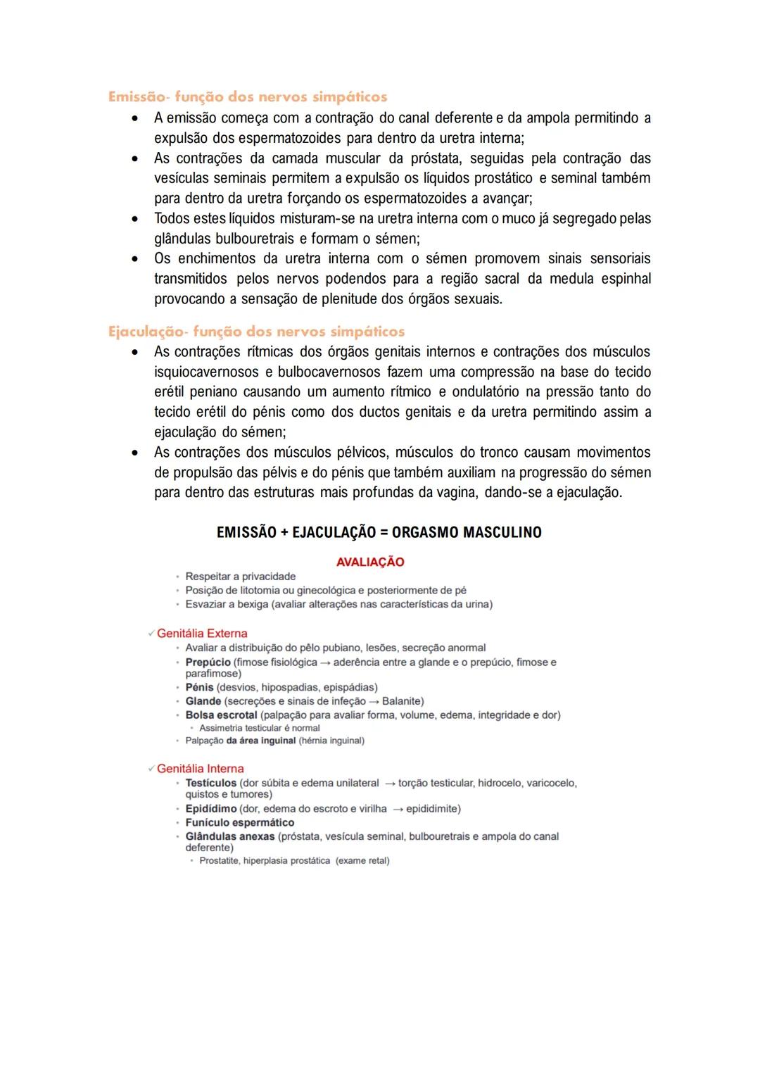 # Sistema Reprodutor
MASCULINO
O sistema reprodutor masculino tem componentes no abdómen, pelve e períneo.
As funções reprodutivas masculin