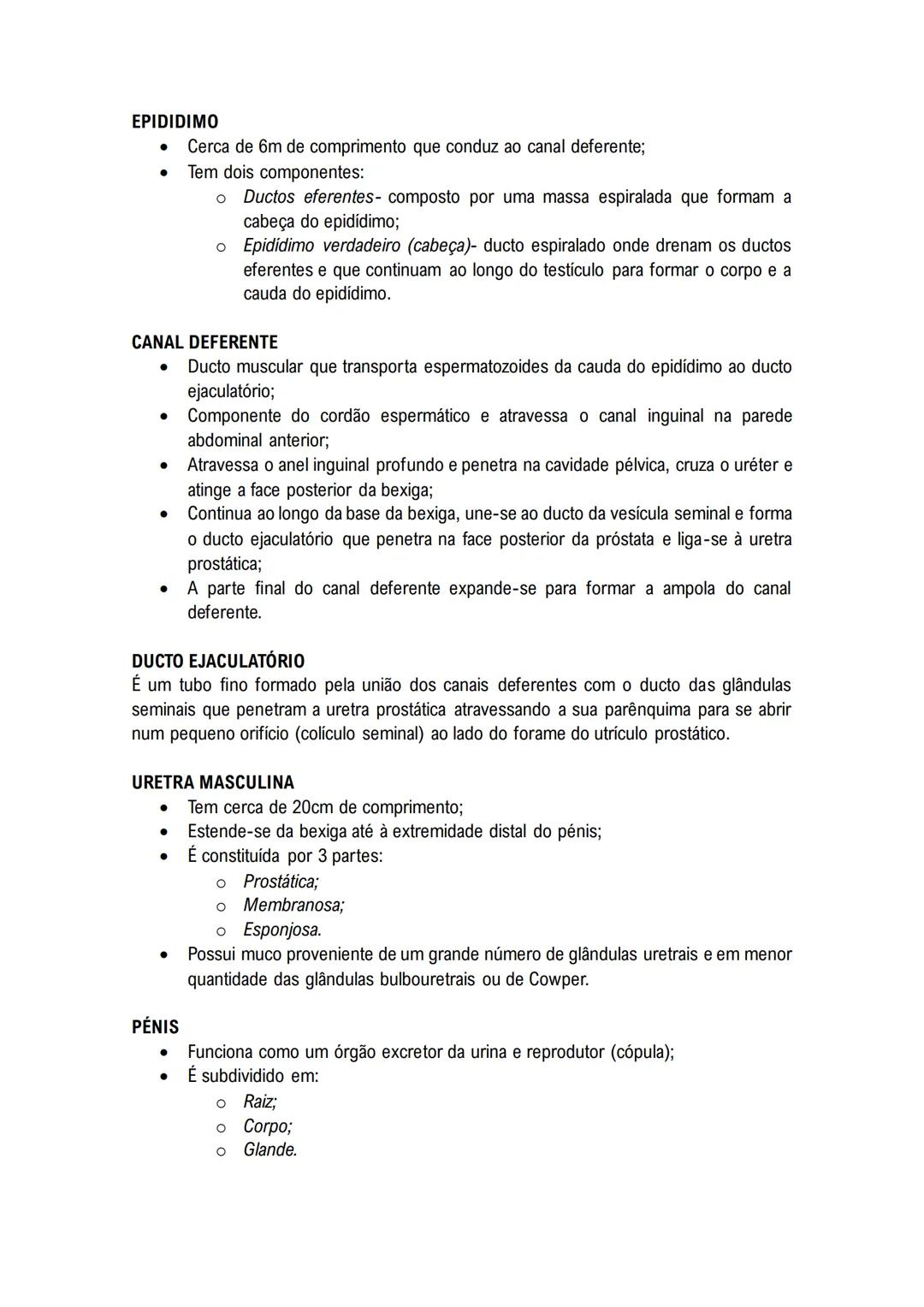 # Sistema Reprodutor
MASCULINO
O sistema reprodutor masculino tem componentes no abdómen, pelve e períneo.
As funções reprodutivas masculin