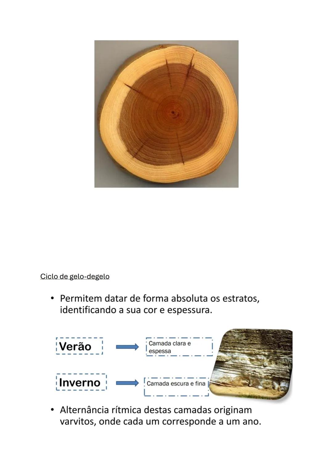 Biologia e Geologia
Geologia (10°ano)
Princípios do raciocínio geológico
Interpretação da Evolução passada na Terra
Catastrofismo
Cuvier