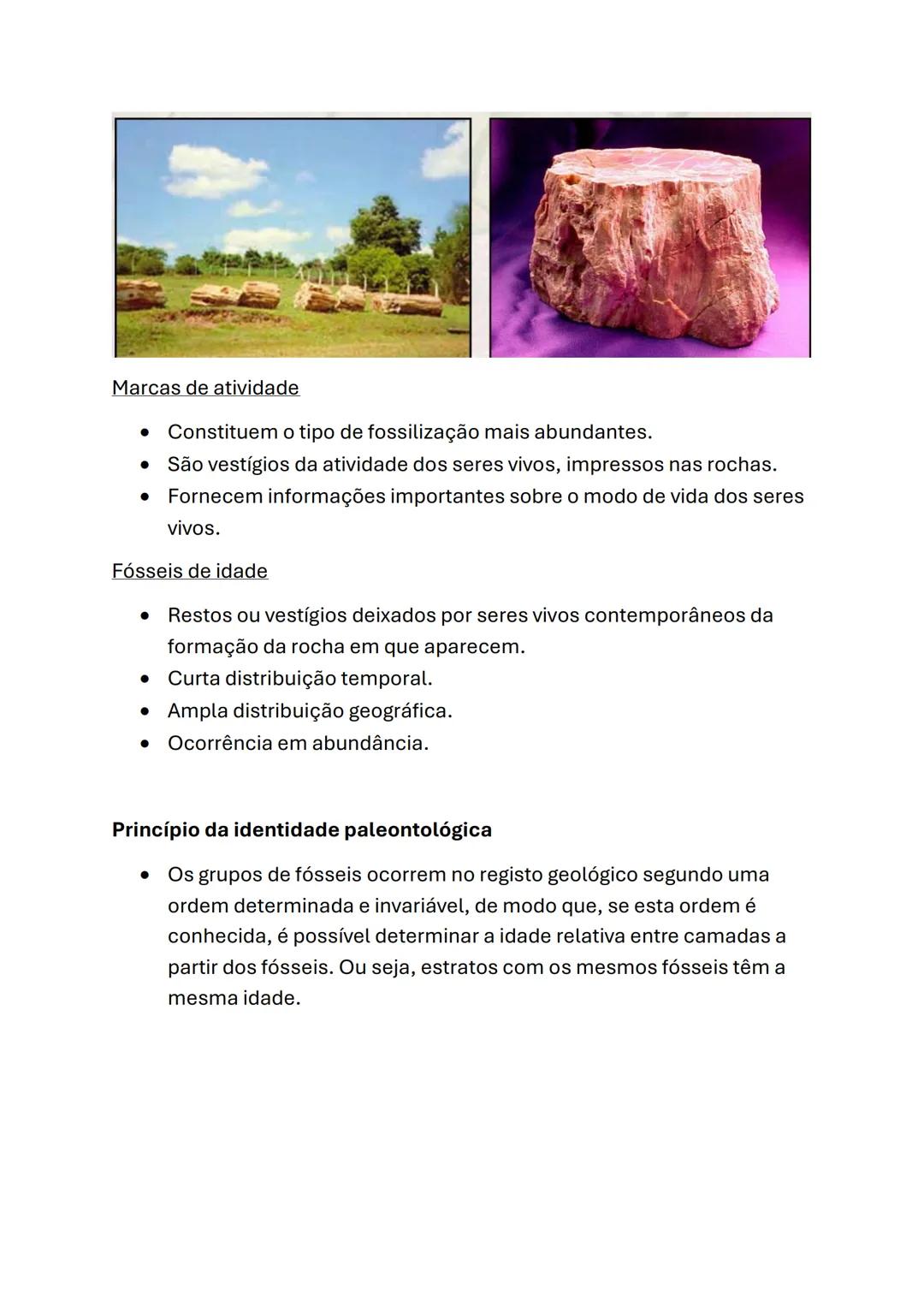 Biologia e Geologia
Geologia (10°ano)
Princípios do raciocínio geológico
Interpretação da Evolução passada na Terra
Catastrofismo
Cuvier