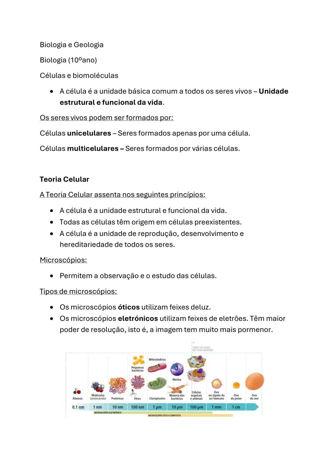 Biologia e Geologia
Biologia (10°ano)
Células e biomoléculas
* A célula é a unidade básica comum a todos os seres vivos - Unidade
estru