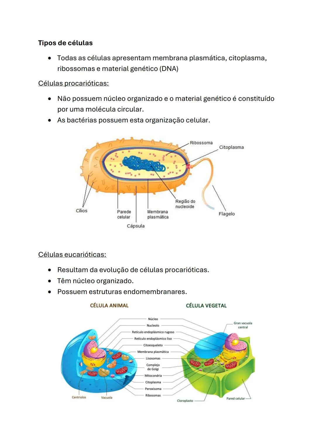 Biologia e Geologia
Biologia (10°ano)
Células e biomoléculas
* A célula é a unidade básica comum a todos os seres vivos - Unidade
estru