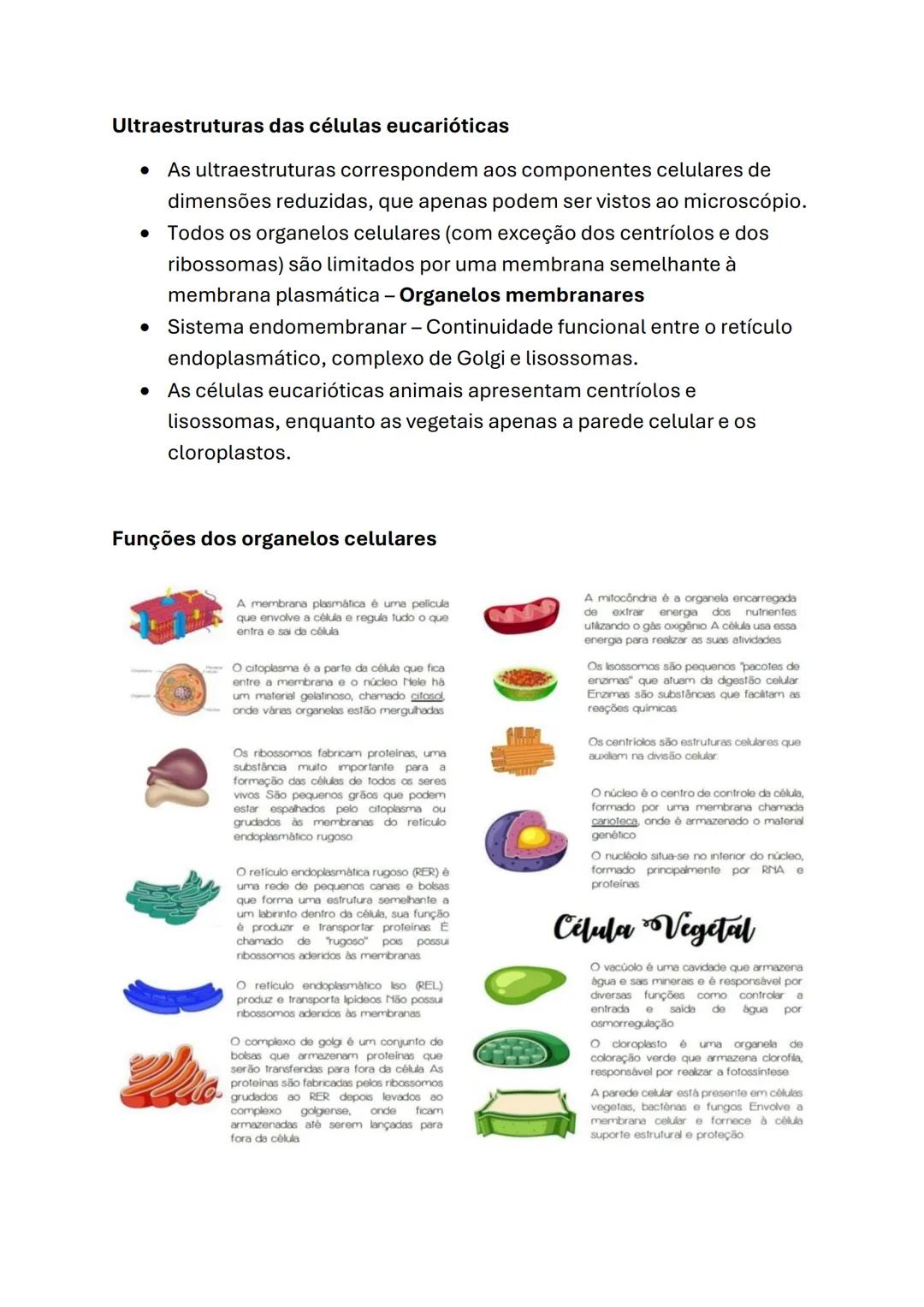 Biologia e Geologia
Biologia (10°ano)
Células e biomoléculas
* A célula é a unidade básica comum a todos os seres vivos - Unidade
estru