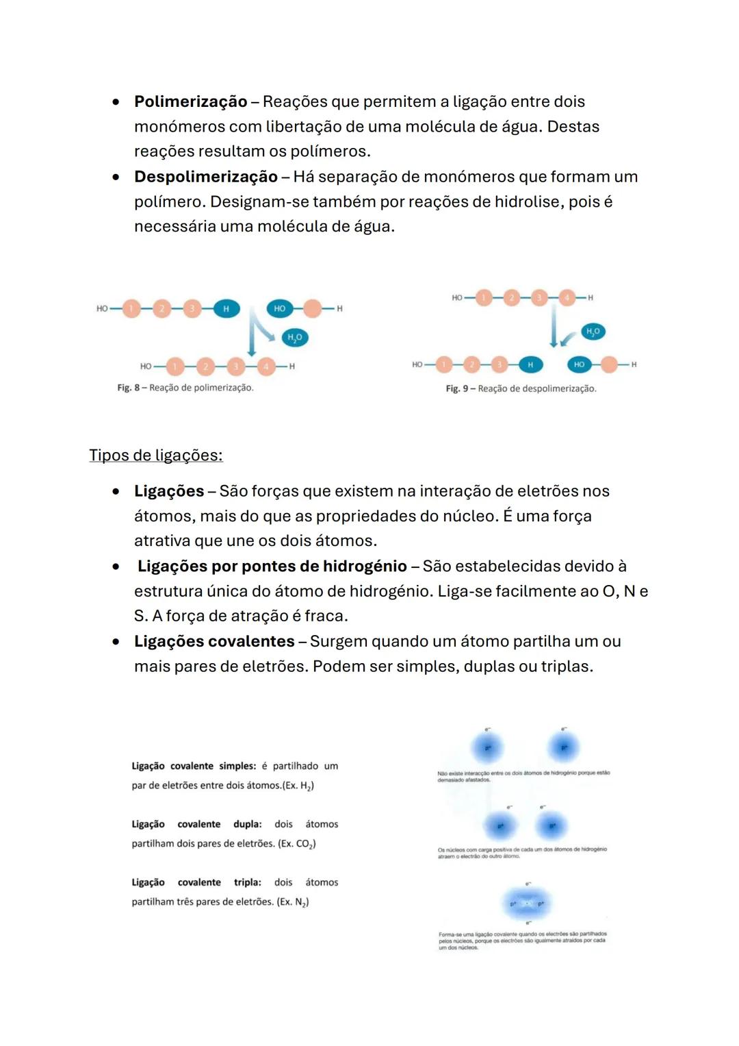 Biologia e Geologia
Biologia (10°ano)
Células e biomoléculas
* A célula é a unidade básica comum a todos os seres vivos - Unidade
estru