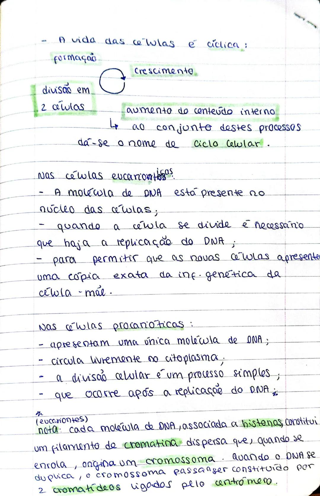 Biologia - 17° ADO
MITOSE
- as cewlas dividem-se para: crescer, reproduzir e
regenerar.
- cada cewla do origem a 2 cewlas-filhas,
que pode